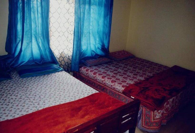 膳宿费 Honey Beatle Homestay