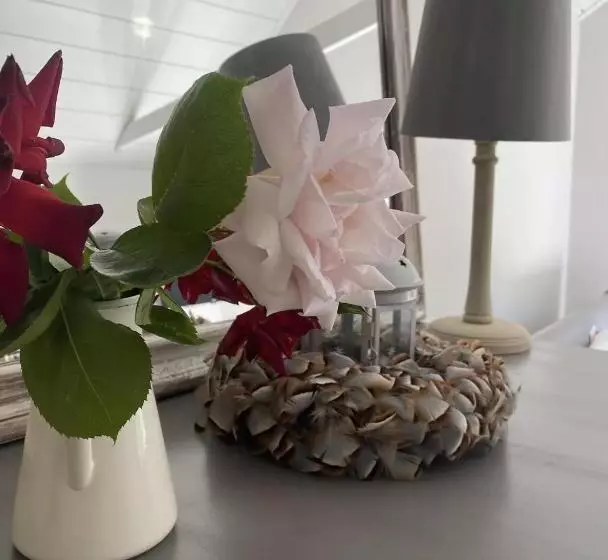 ペンション Mulberry Studio