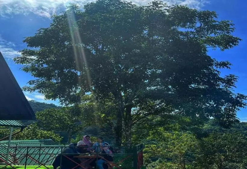 Vayalada View Point Resort