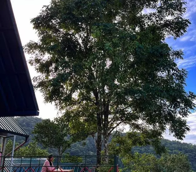 Vayalada View Point Resort