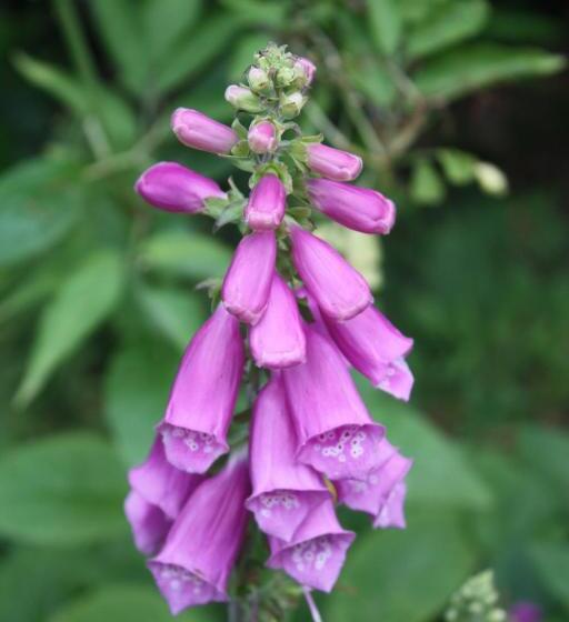 住宿加早餐  Old Water View