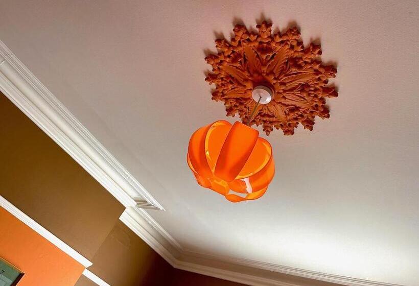 Bed and Breakfast Snooze