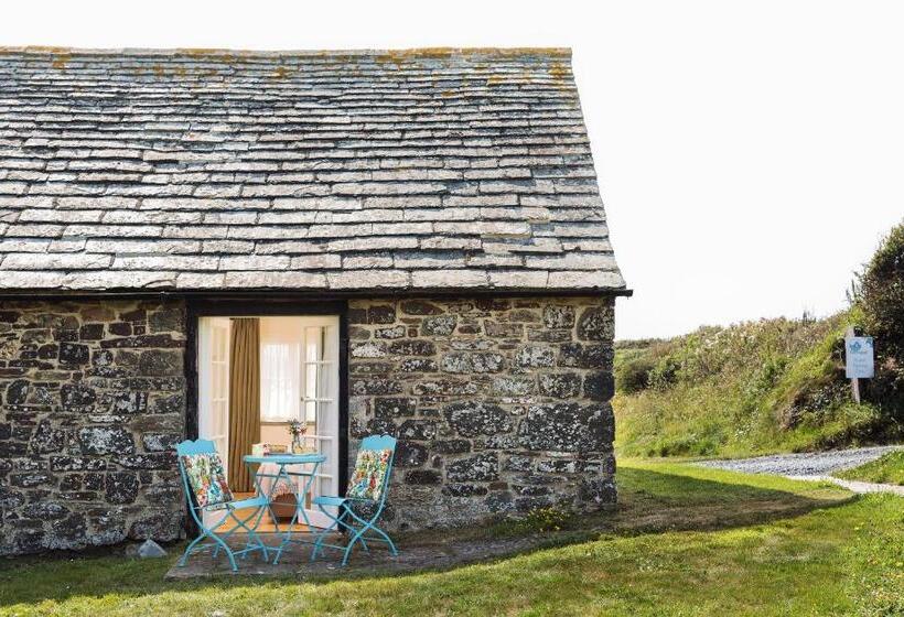 Bed and Breakfast Trevigue Farm