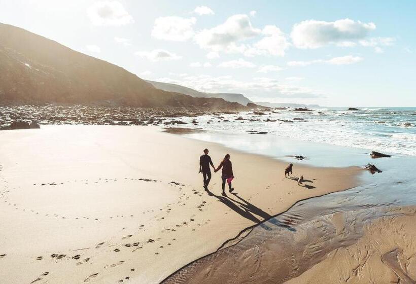 Bed and Breakfast Trevigue Farm