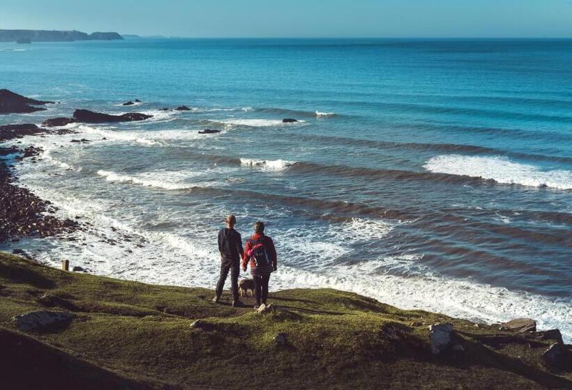 Bed and Breakfast Trevigue Farm