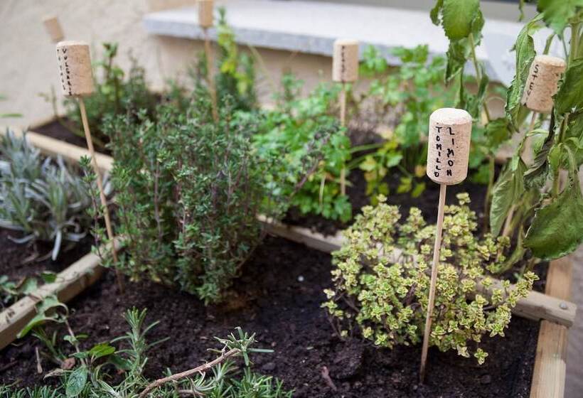 María Pacheco Hotel Boutique