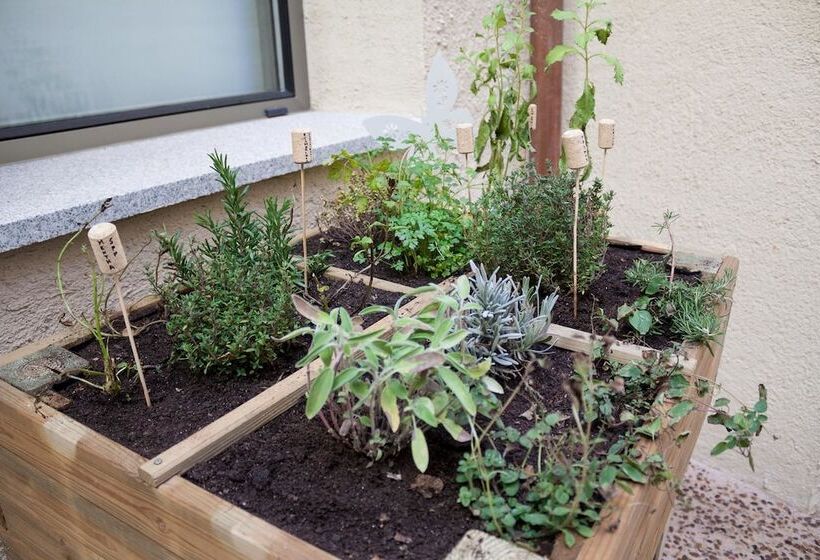 María Pacheco Hotel Boutique