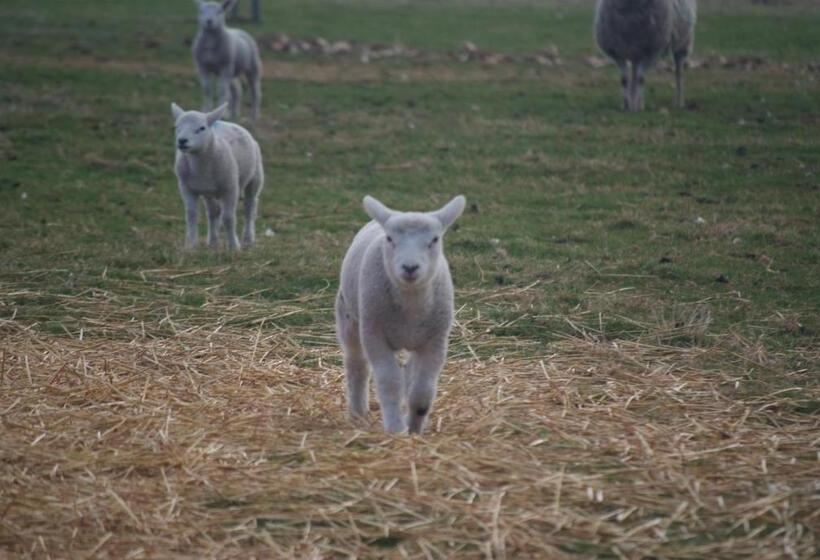 Отель Woodhouse Farm Lodge