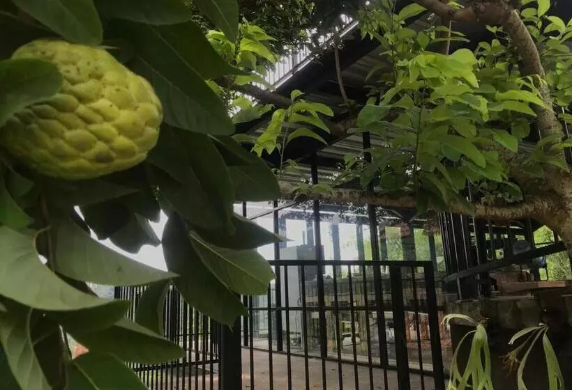 Retkeilymaja Kraras Munduk Guest House & Donbiyu Rendezvous Restaurant