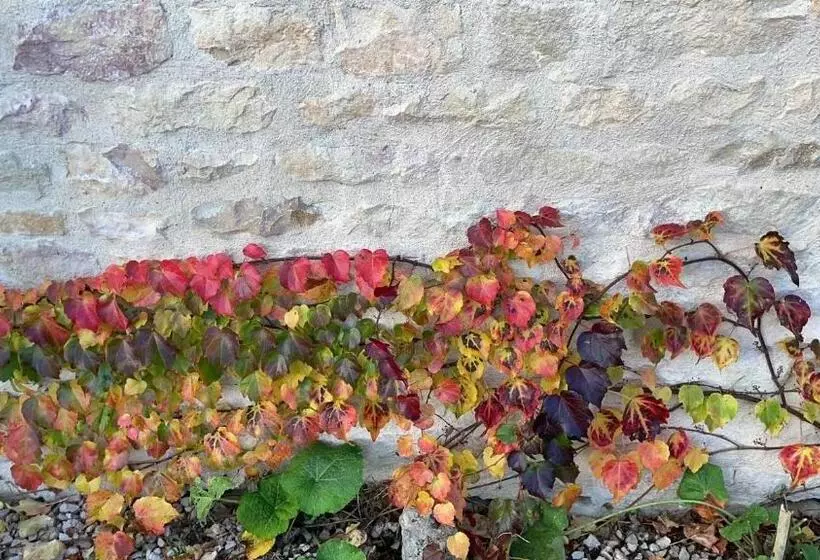 Aamiaismajoitus (B&B) Auberg Inn