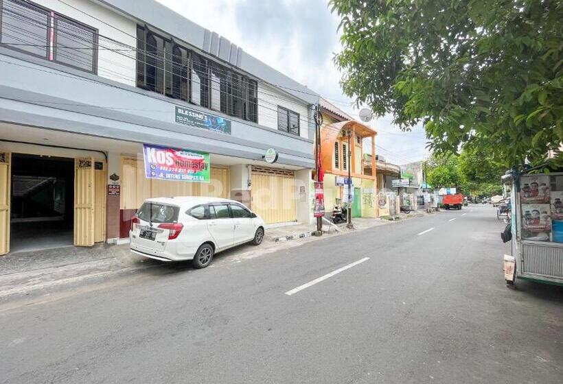 בית מלון כפרי Homestay & Cafe Blessings Near Station Center Town Redpartner