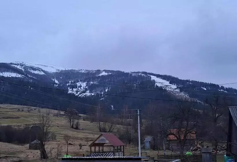 Majatalo лимонний дім