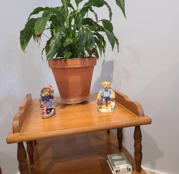 Bed and Breakfast 26 Taylor