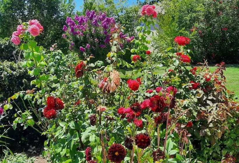 ベッドアンドブレックファースト Chambres D Hôtes La Bonne Voie