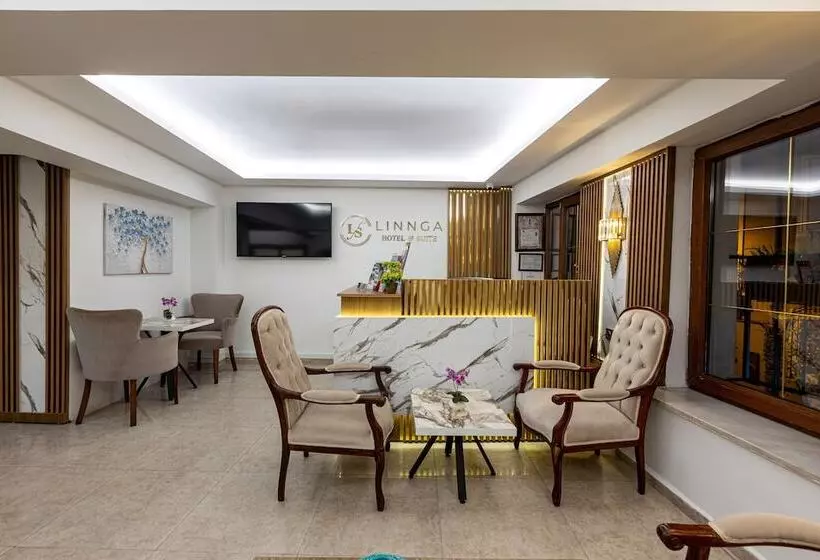 Aamiaismajoitus (B&B) Linnga Hotel & Suite