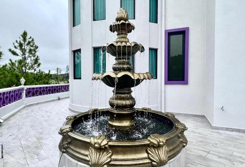 هتل Cameron Lavender Mansion By Play