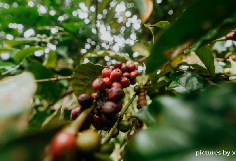 Hotel Tirtha Quddus Farmstay