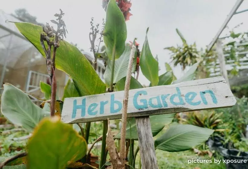 ホテル Tirtha Quddus Farmstay