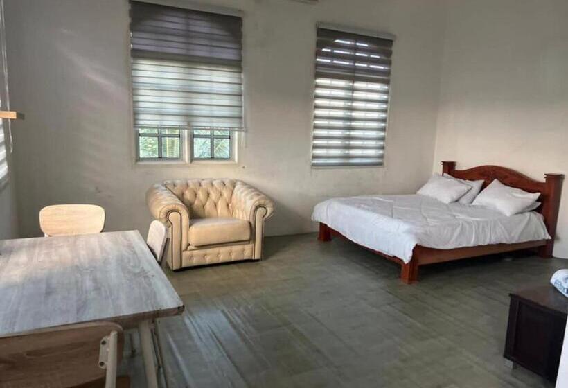 فندق على الطريق D Flora Inn