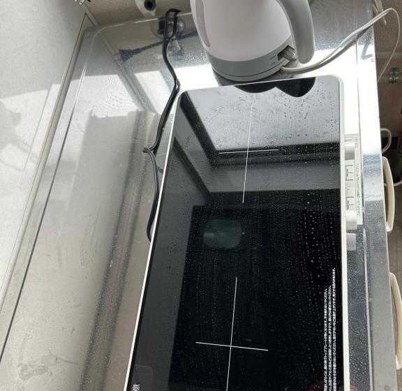 پانسیون れれれ