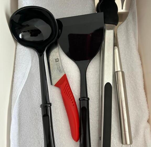 پانسیون れれれ