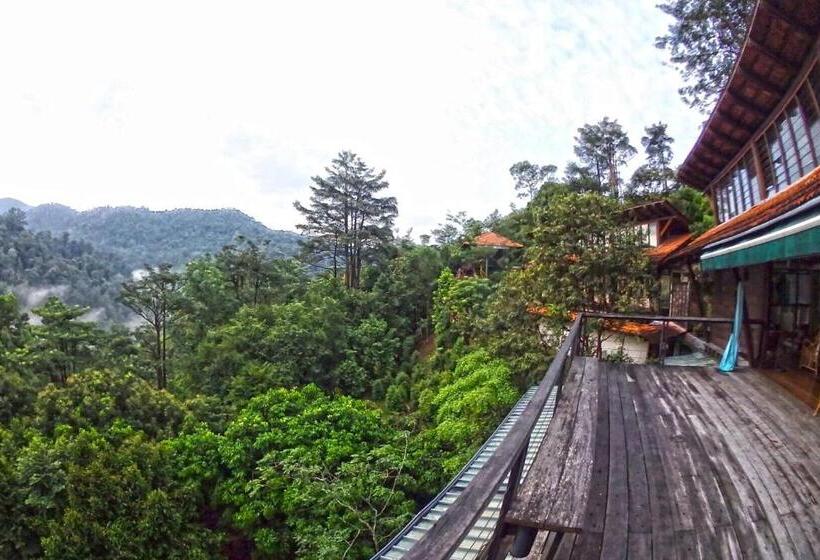 ベッドアンドブレックファースト Langit Rimba Resort