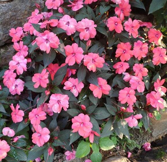 민박 Munnar Estate Residency