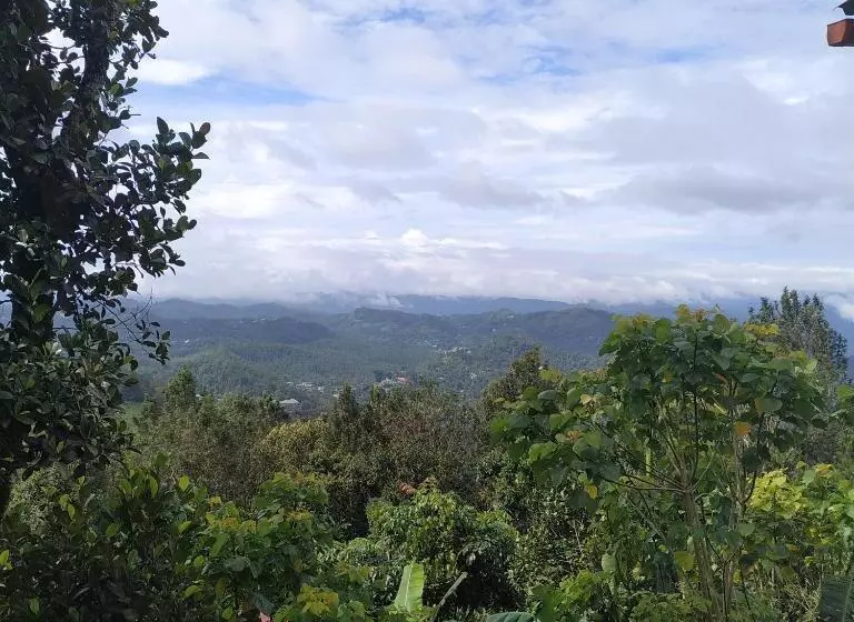 ベッドアンドブレックファースト Munnar Estate Residency