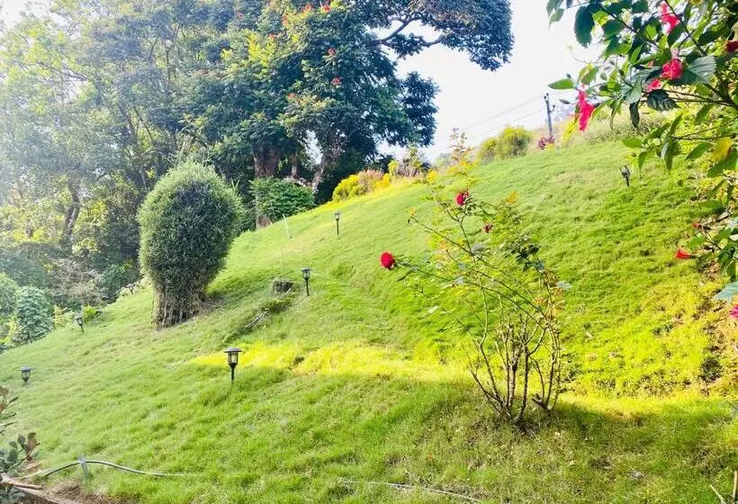 ベッドアンドブレックファースト Munnar Estate Residency