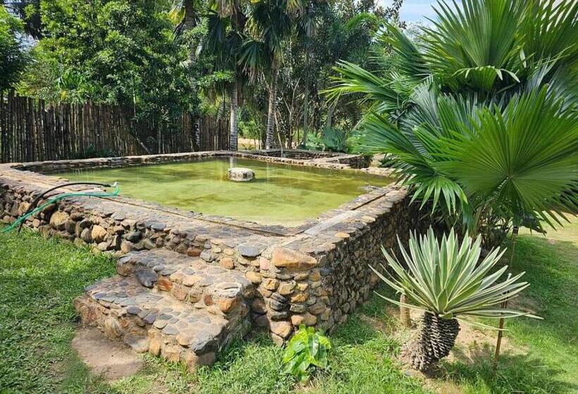 فندق Riverside Palm Inn Sg Lembing