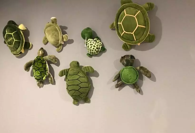 Nusantara Mattwaddien Hostel