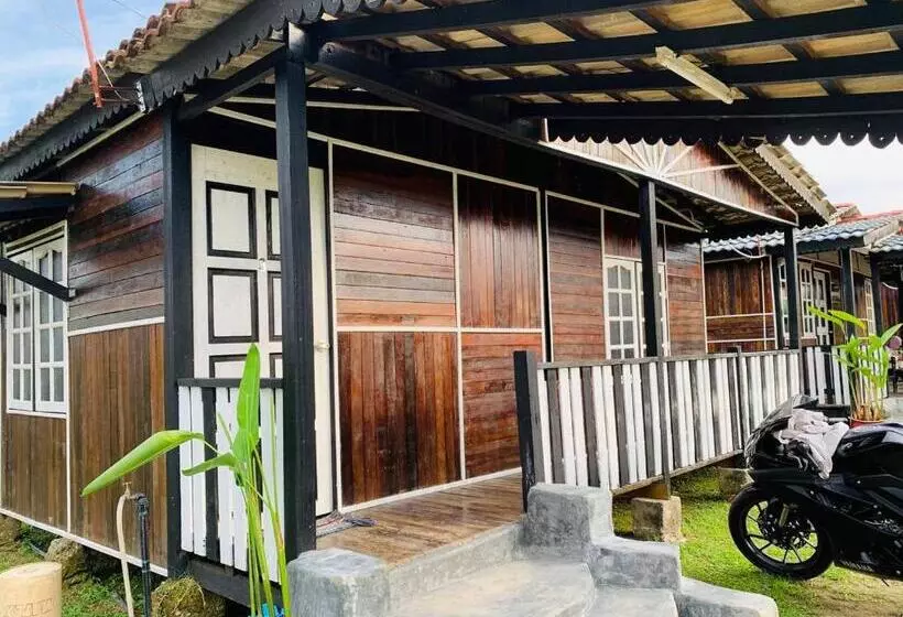 پانسیون Moss Hedera Hide Chalet