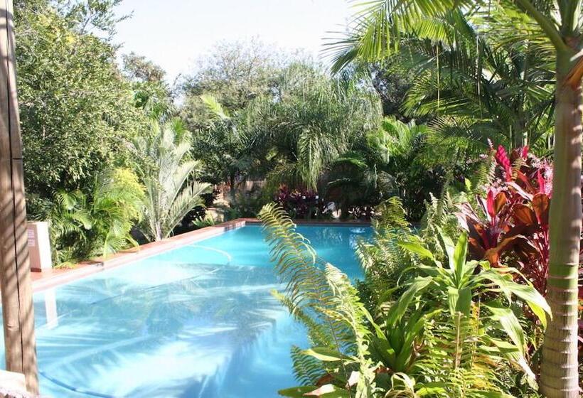 פנסיון Villa Royal Palm