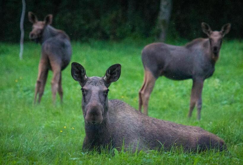 Ulvö Lakeside Resort