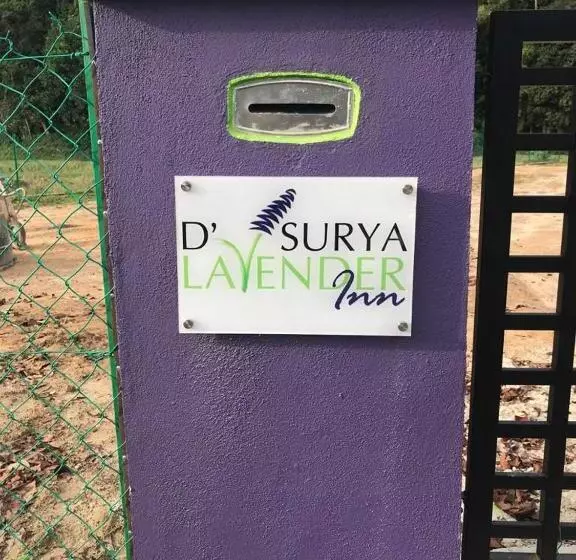 ユースホステル D  Surya Lavender Inn