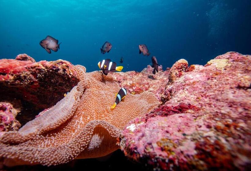 Bangaram Island Beach Resort