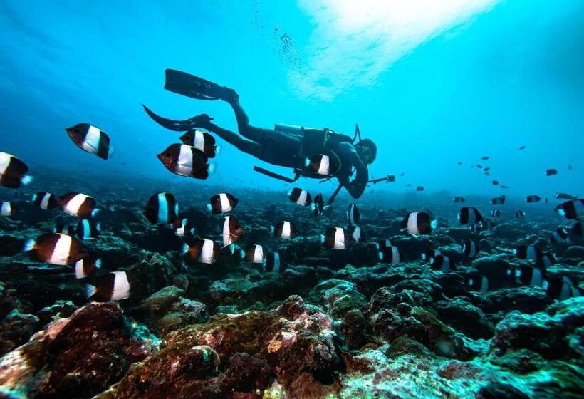 Bangaram Island Beach Resort