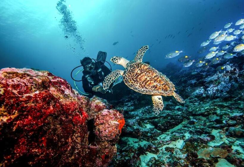 Bangaram Island Beach Resort