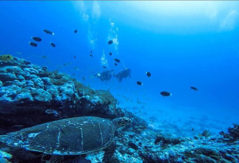 Bangaram Island Beach Resort