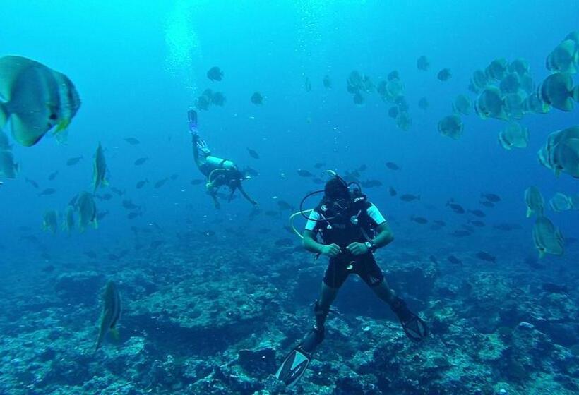 Bangaram Island Beach Resort