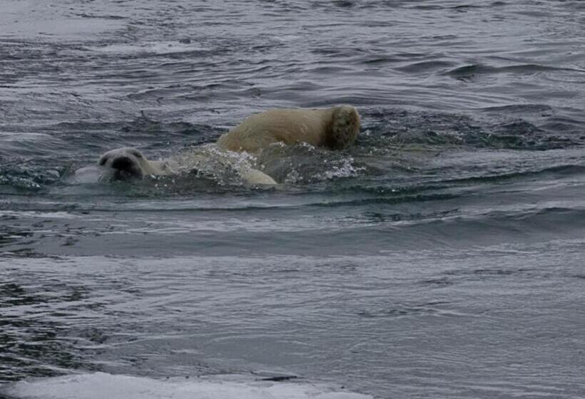 Bed and Breakfast Le Gîte Du Pêcheur