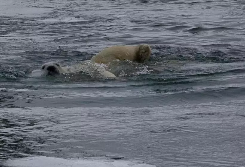 Aamiaismajoitus (B&B) Le Gîte Du Pêcheur