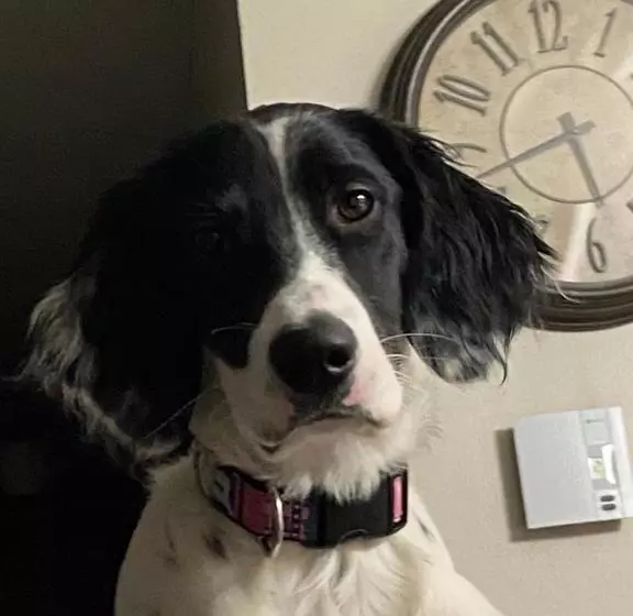 Aamiaismajoitus (B&B) Le Gîte Du Pêcheur