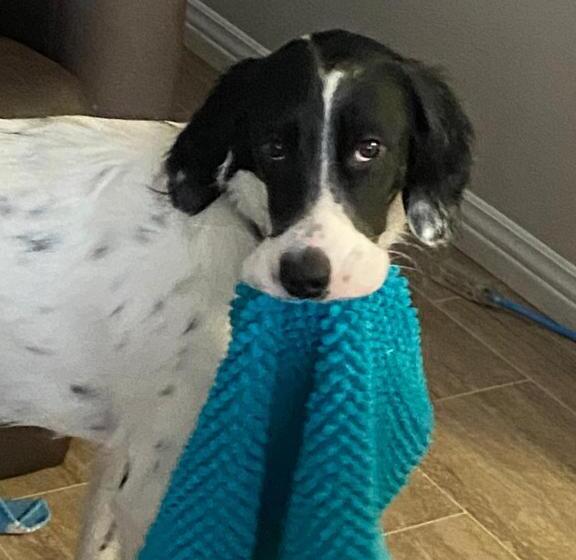 Bed and Breakfast Le Gîte Du Pêcheur