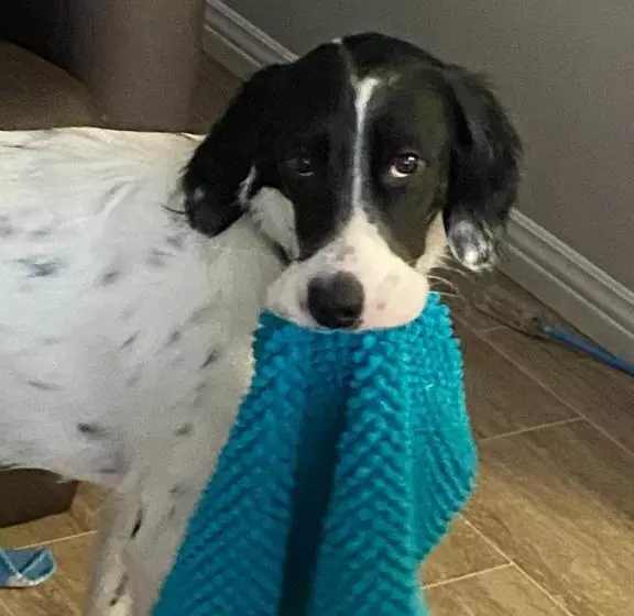 Aamiaismajoitus (B&B) Le Gîte Du Pêcheur