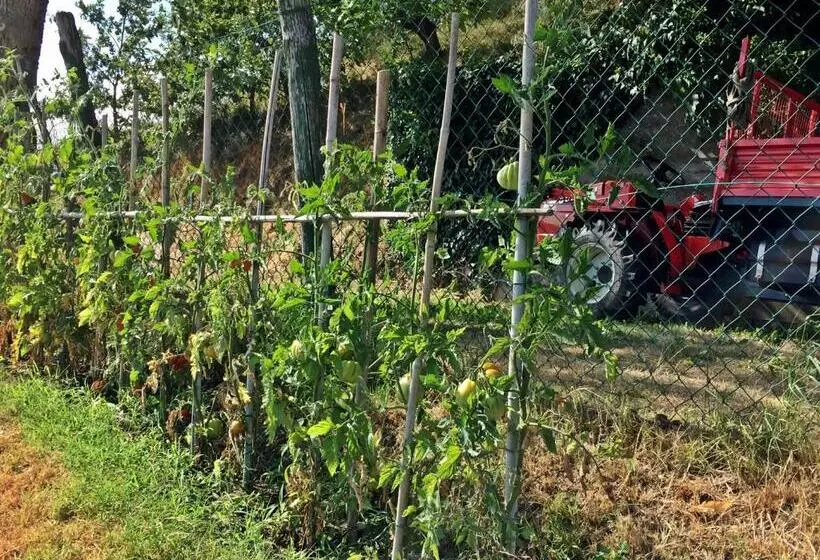 ホテル Agriturismo Bicocchi