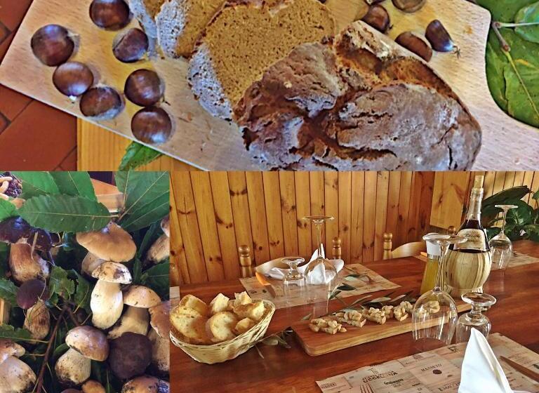 בית מלון כפרי Agriturismo Bicocchi