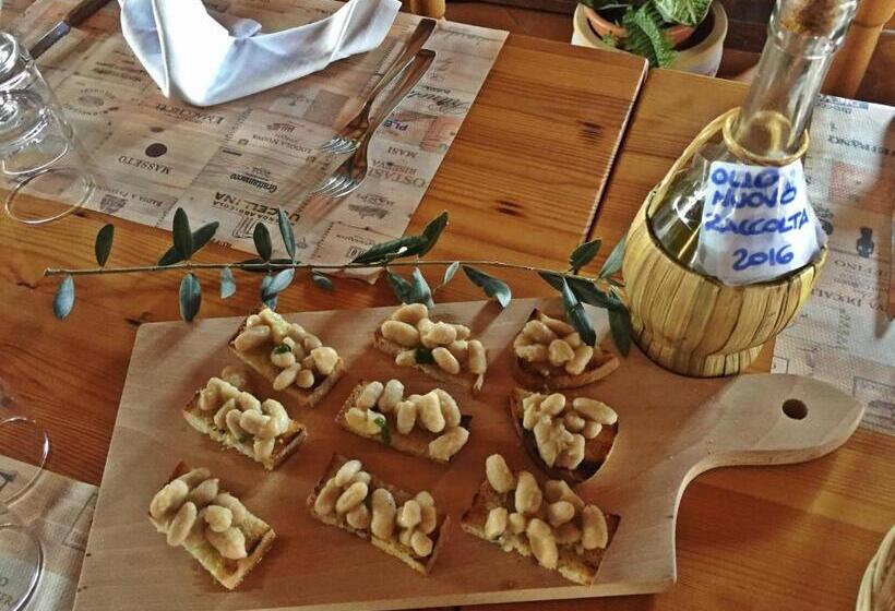 בית מלון כפרי Agriturismo Bicocchi