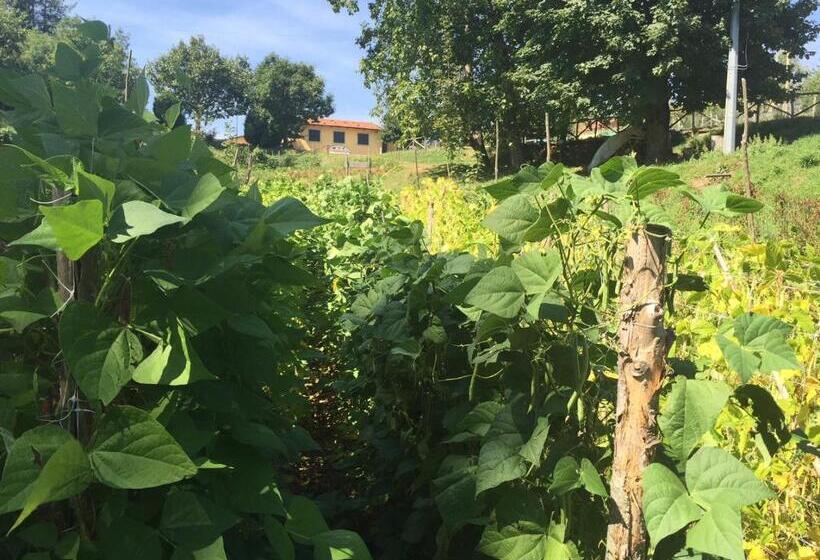 בית מלון כפרי Agriturismo Bicocchi