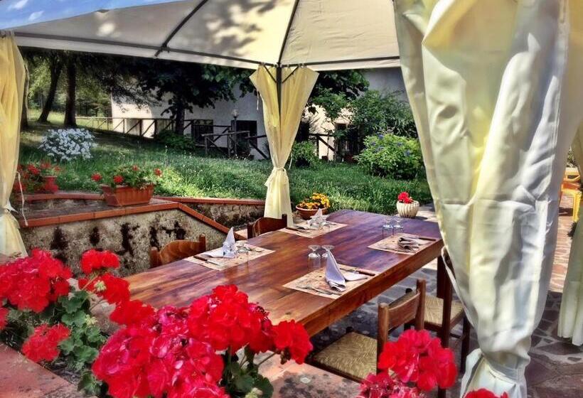 בית מלון כפרי Agriturismo Bicocchi